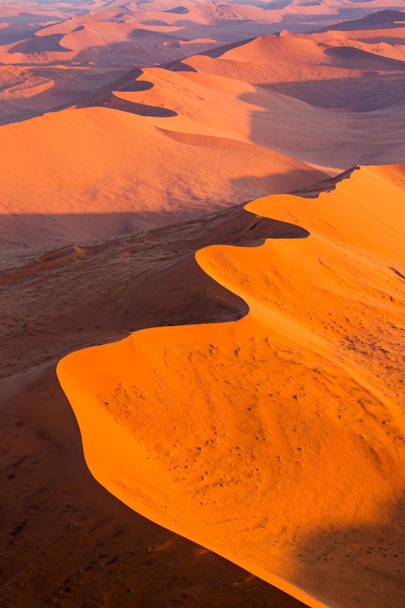 sossusvlei red desert in Namibia
