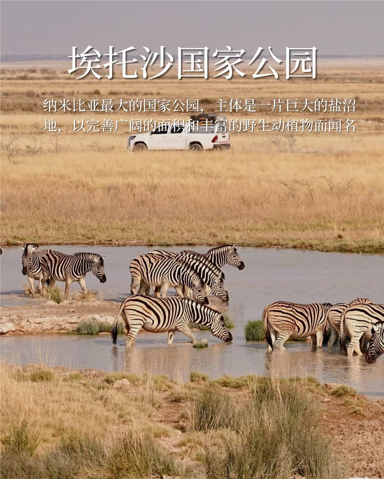 Etosha National Park in Namibia