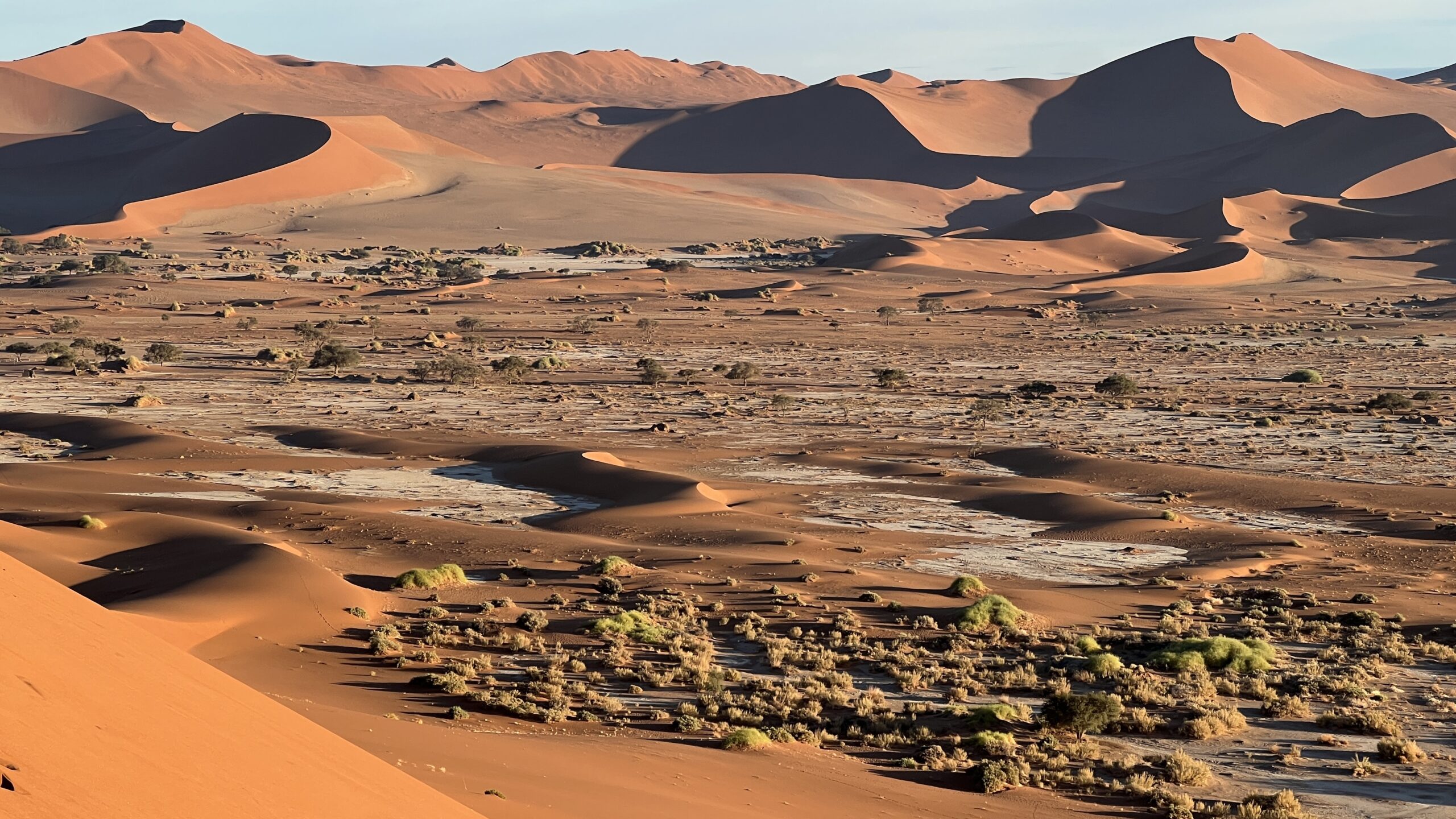 sossusvlei red desert in Namibia