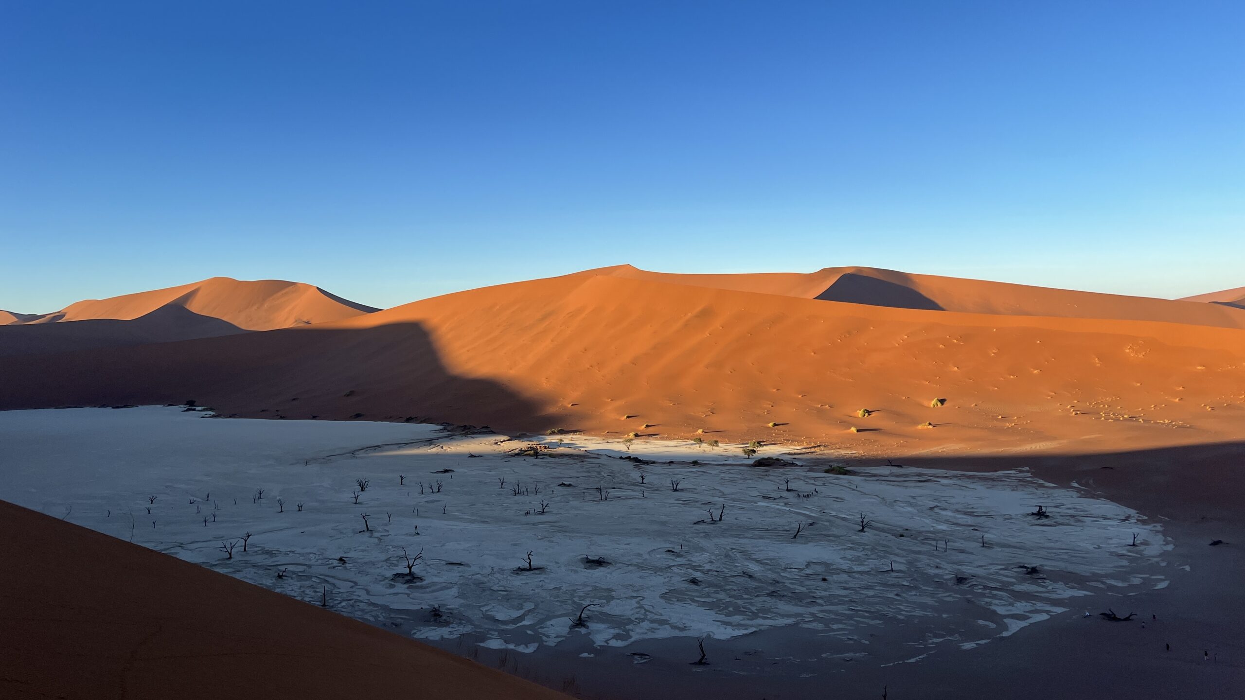 sossusvlei red desert in namibia