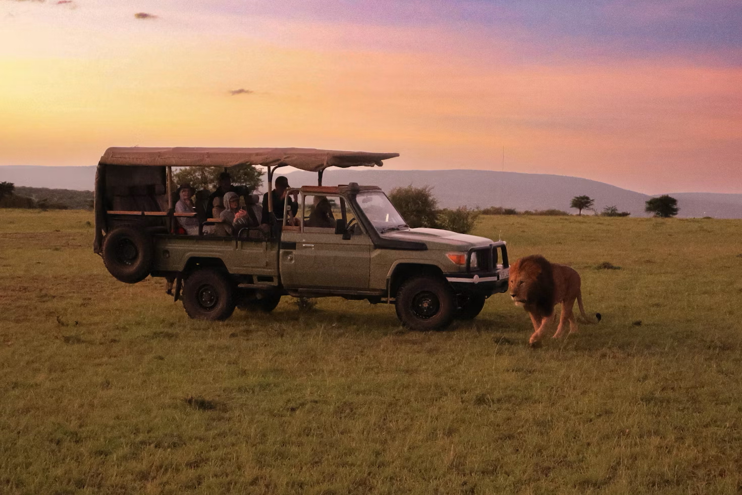game drive safari in Etosha national park Namibia