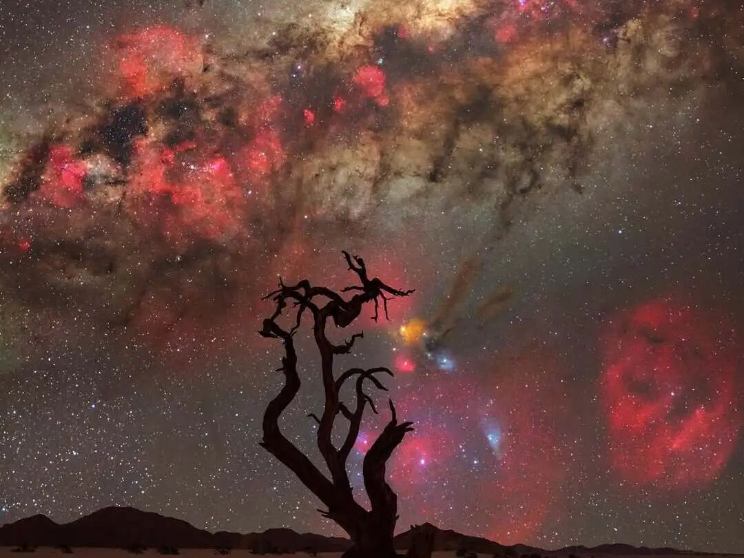 Namibia Photography tour