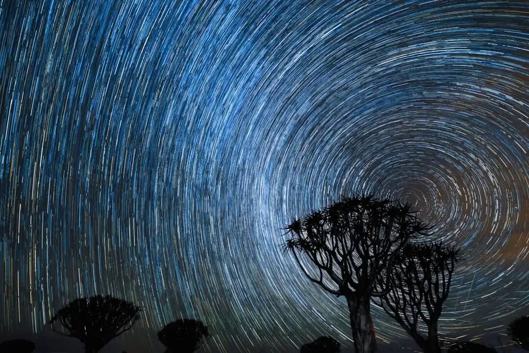 Quiver Tree Forest under the night sky in Namibia